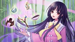 houraisan kaguya from touhou by rnkgmn