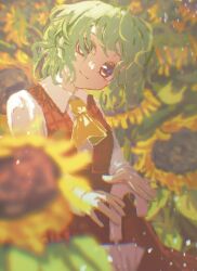 kazami yuuka from touhou