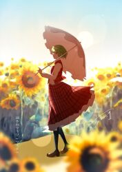 kazami yuuka from touhou