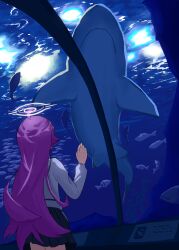 hoshino (blue archive) from blue archive