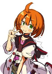 medic (sekaiju) from sekaiju no meikyuu