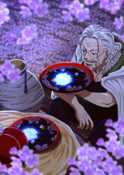 silvers rayleigh from one piece by musasabiop