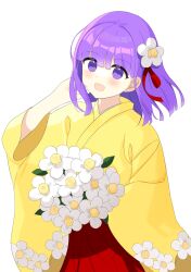 hieda no akyuu from touhou