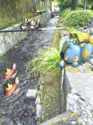 magikarp from pokemon