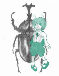 wriggle nightbug from touhou