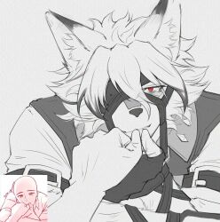 von lycaon from zenless zone zero