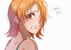 nami (one piece) from one piece