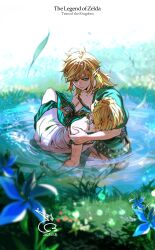link from the legend of zelda