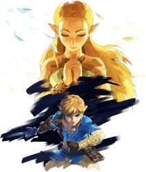 link from the legend of zelda
