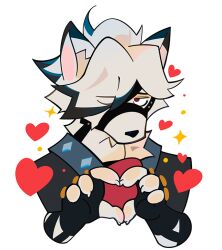 von lycaon from zenless zone zero