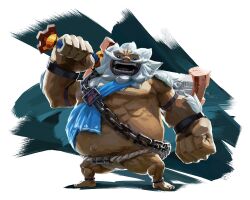 daruk from the legend of zelda