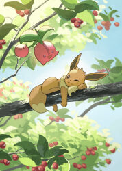 cherubi from pokemon