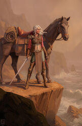 ciri from the witcher (series)