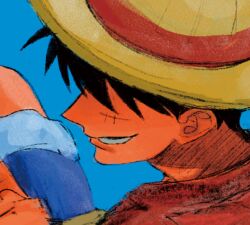 monkey d. luffy from one piece by nok (nok 1)