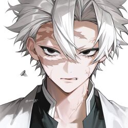 shinazugawa sanemi from kimetsu no yaiba