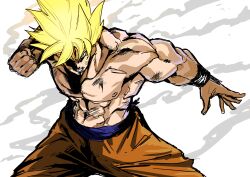 dragon ball fan art