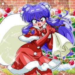 shampoo (ranma 1/2) from ranma 1/2 by wanta (futoshi)