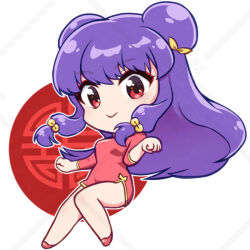 shampoo (ranma 1/2) from ranma 1/2