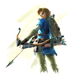 link from the legend of zelda