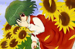 kazami yuuka from touhou by toranashi