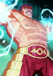 wolfgang krauser from fatal fury