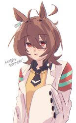 agnes tachyon (tach-nology) (umamusume) from umamusume