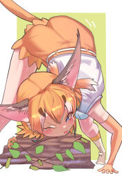 caracal (kemono friends) from kemono friends