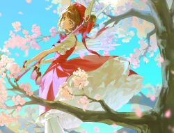 kinomoto sakura from cardcaptor sakura