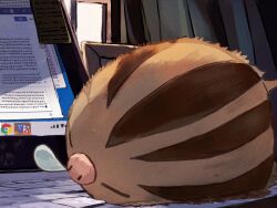 swinub from google chrome