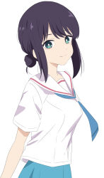 sakayori iroha from cho kaguya-hime! by dars (recolors)