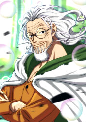 silvers rayleigh from one piece by musasabiop