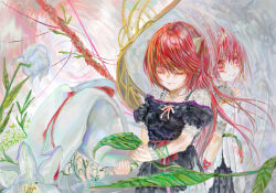 lucy (elfen lied) from elfen lied