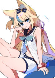 sameko saba from indie virtual youtuber