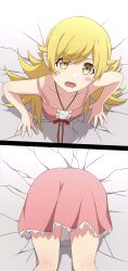oshino shinobu from monogatari (series)