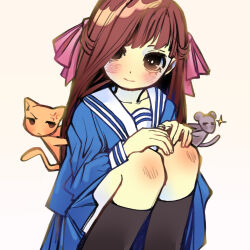 honda tohru from fruits basket
