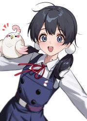 dera mochimazzui from tamako market