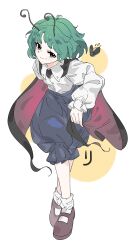 wriggle nightbug from touhou
