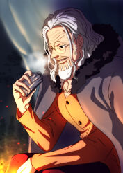silvers rayleigh from one piece by musasabiop