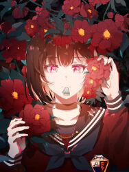 alstroemeria from bang dream!