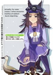 fenomeno (umamusume) from umamusume
