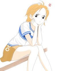 nami (one piece) from one piece