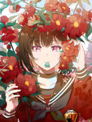 alstroemeria from bang dream!