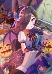 mihono bourbon (umamusume) from umamusume