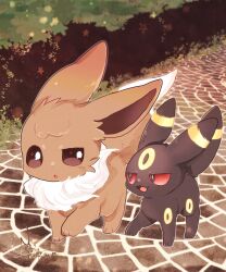 eevee from pokemon by banchiku