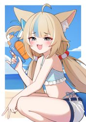 sameko saba from indie virtual youtuber