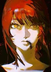 makima (chainsaw man) from chainsaw man
