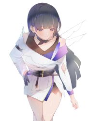 raiden mei from honkai (series)