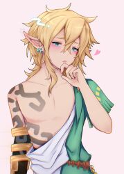 link from the legend of zelda