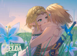 link from the legend of zelda