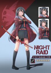 akame ga kill! fan art